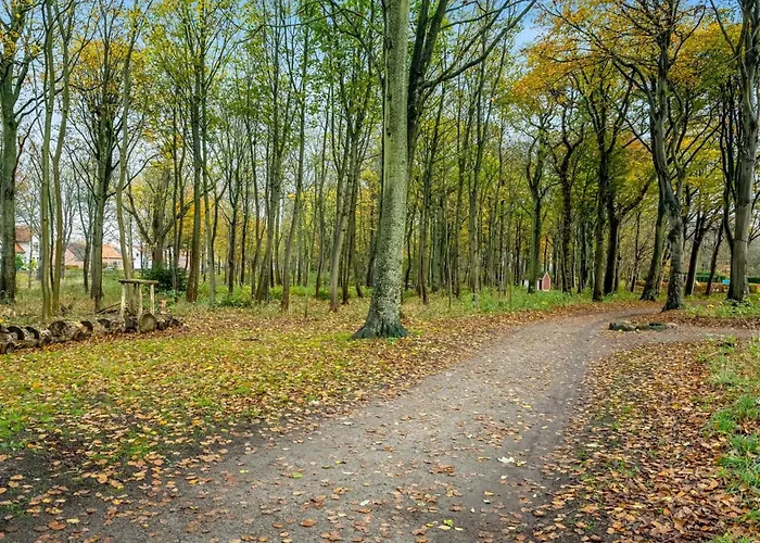 Kamp - 1km To The Fjord By Interhome